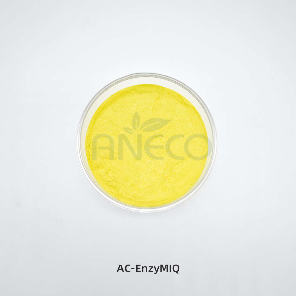 AC-EnzyMIQ