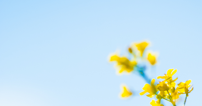 a5719602-2236-441f-b963-9d0c9d3f17c3.png a5719602-2236-441f-b963-9d0c9d3f17c3.png