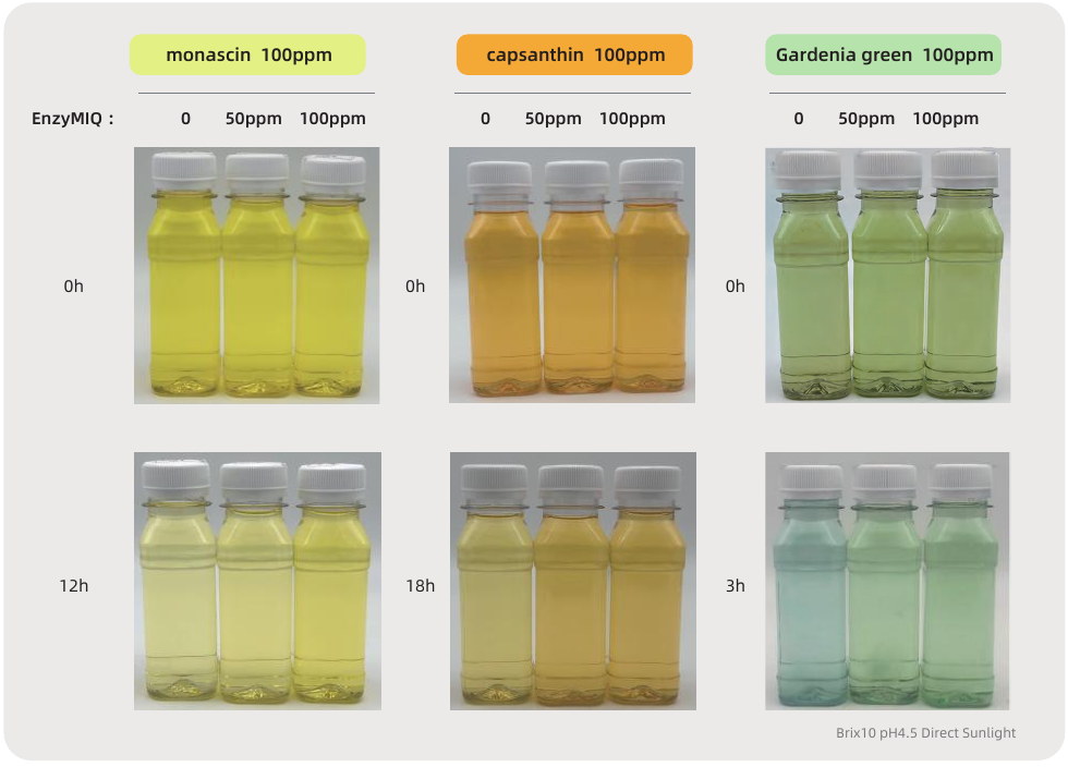 EnzyMIQ natural-color stability comparison from the ANECO flyer